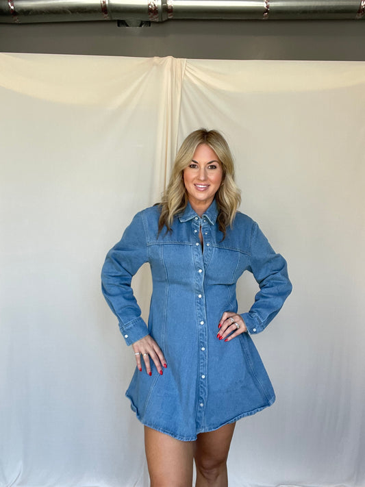Cider Mill Denim Dress