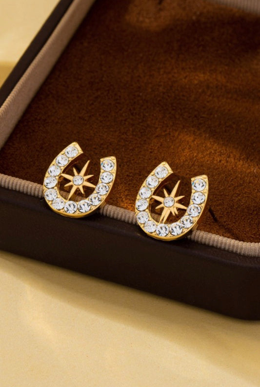 Lucky Charm Earrings